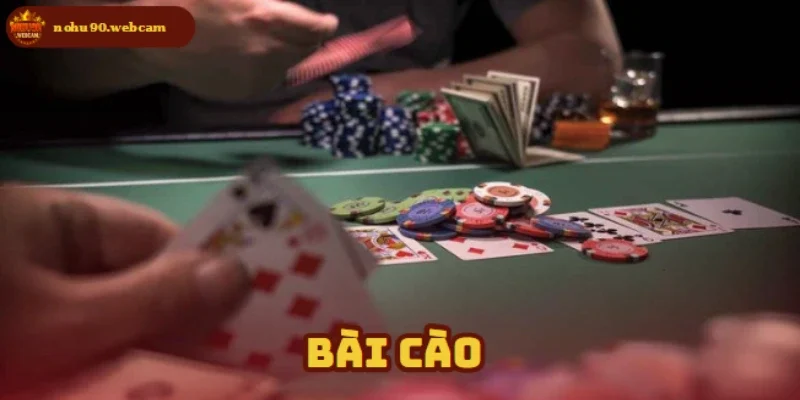 bai cao anh dai dien