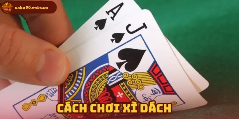 Cách chơi phù hợp với mọi đối tượng tham gia