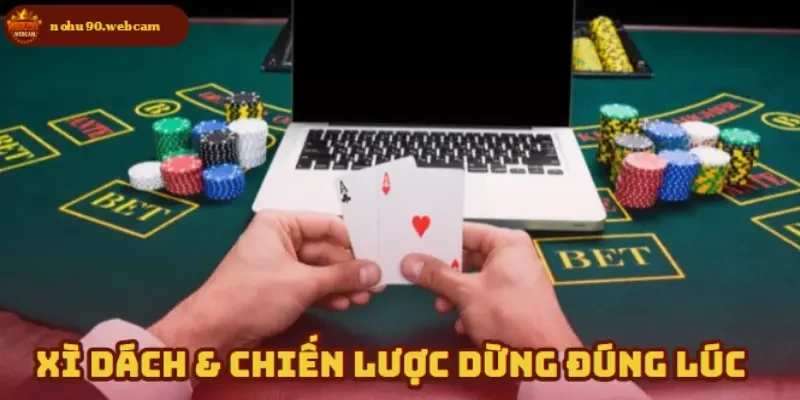 Biết dừng đúng lúc là kỹ năng giữ vững vốn tốt nhất