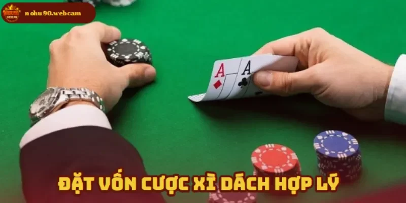 Biết cách đặt cược khi tham gia Nohu90