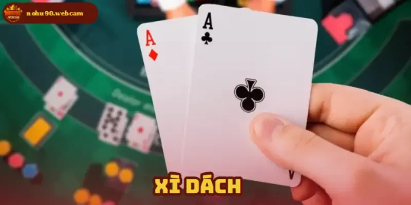 xi dach anh dai dien