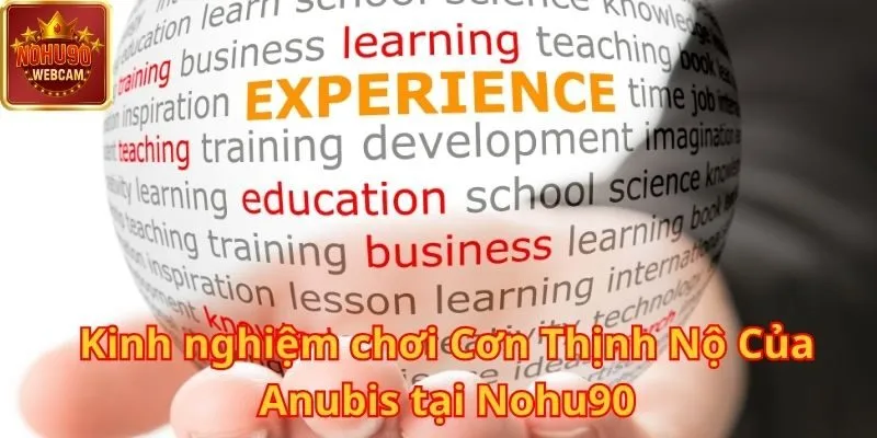 Cơn Thịnh Nộ Của Anubis