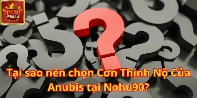 Cơn Thịnh Nộ Của Anubis