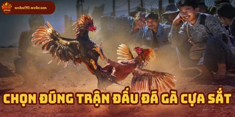 Chọn lọc trận đấu - Bước đầu để tránh thua lỗ