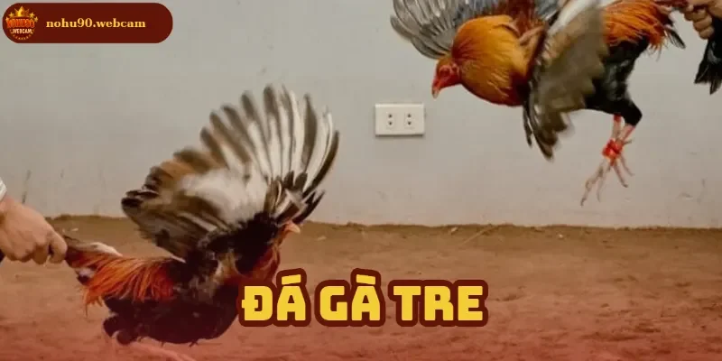 da ga tre anh dai dien