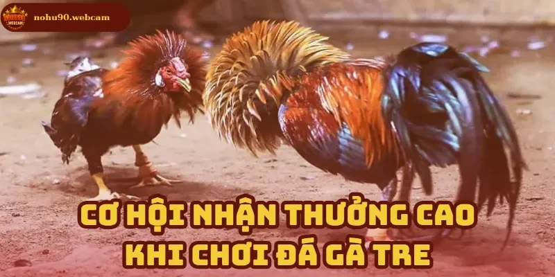 Nhận thưởng cao với chiến thuật đặt cược thông minh