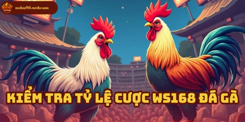 Cập nhật tỷ lệ cược để đặt kèo chính xác