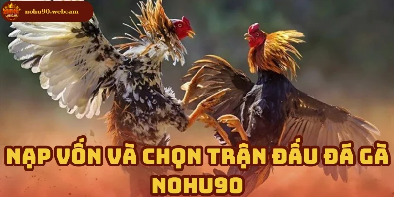 Nạp tiền dễ dàng, chọn trận nhanh chóng tại Đá Gà Nohu90
