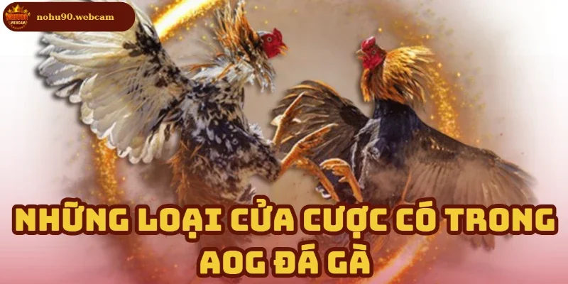 Toàn bộ cửa cược trong AOG Đá Gà từ A–Z
