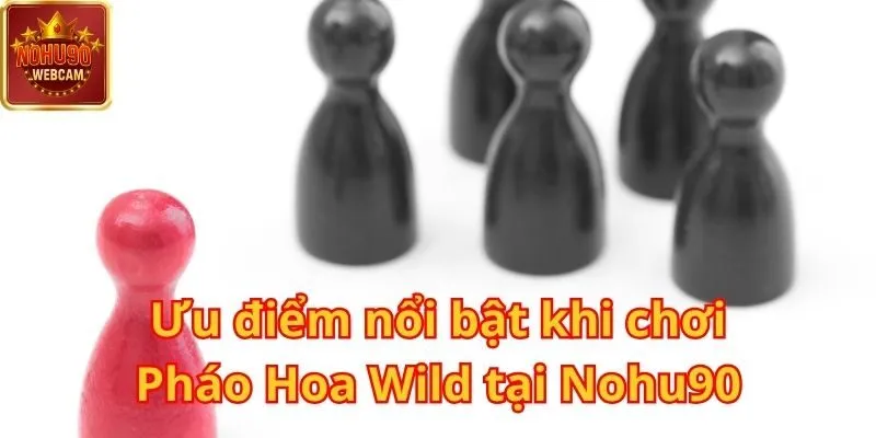 Pháo Hoa Wild