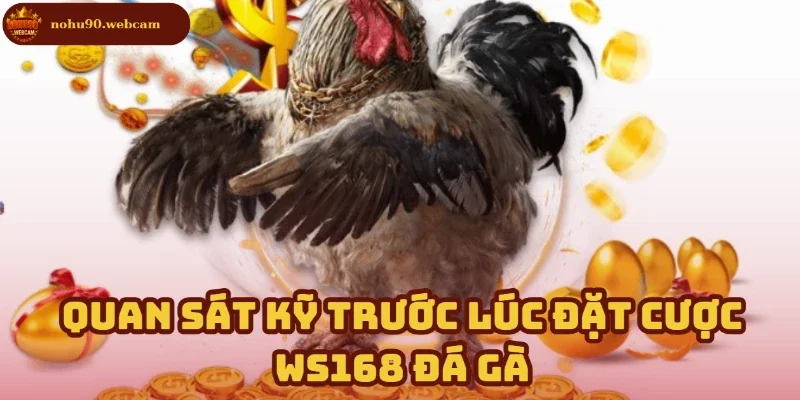 Đừng vội đặt cược khi chưa quan sát kỹ trận đấu