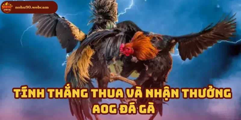Cách tính kết quả thắng thua và quy trình nhận thưởng 