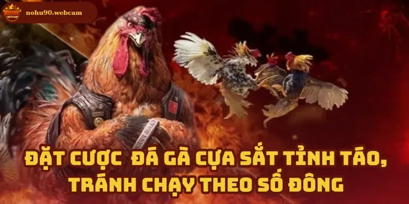 Cược khôn ngoan trong mỗi ván đấu đông người