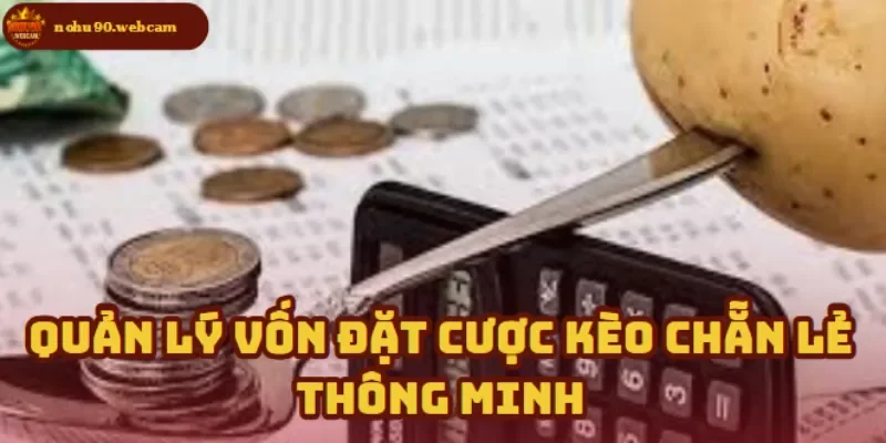 Đặt cược không lo cháy ví - Mẹo quản lý vốn thông minh